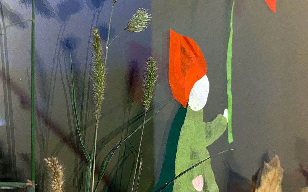 Szent Márton ünnepe, avagy a név kötelez