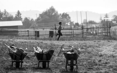Fára mászás, erdőjárás, futkározás a természetben