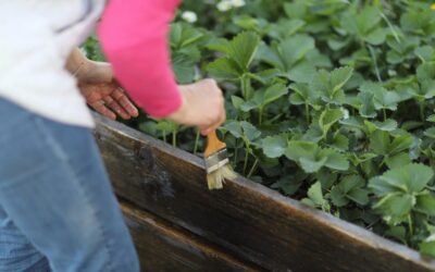 A szülői közösség munkája szépíti a tereinket
